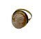 Anello oro 18 kt donna Modello conchiglia cammeo 3,50 gr | Gioiellitosti.it