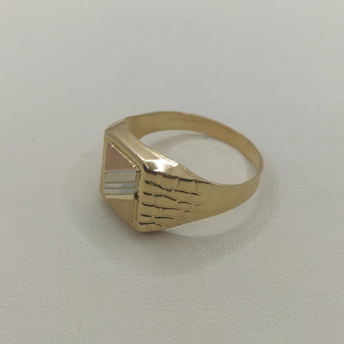 Anello uomo oro 18 kt tre colori 3,60 gr misura 23 | Gioiellitosti.it
