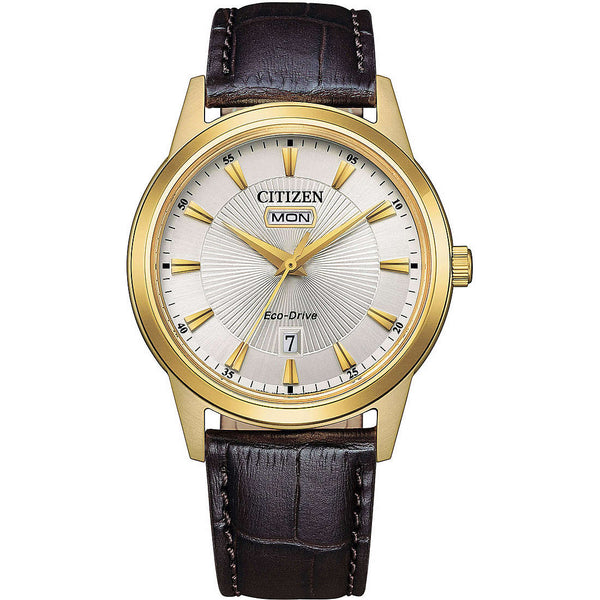 Orologio Citizen Eco Drive AW0102-13A Classic Oro | Gioiellitosti.it